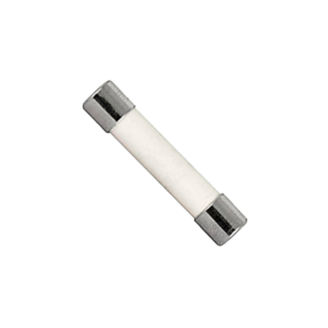 SCHURTER 熔断保险丝 8020.0604