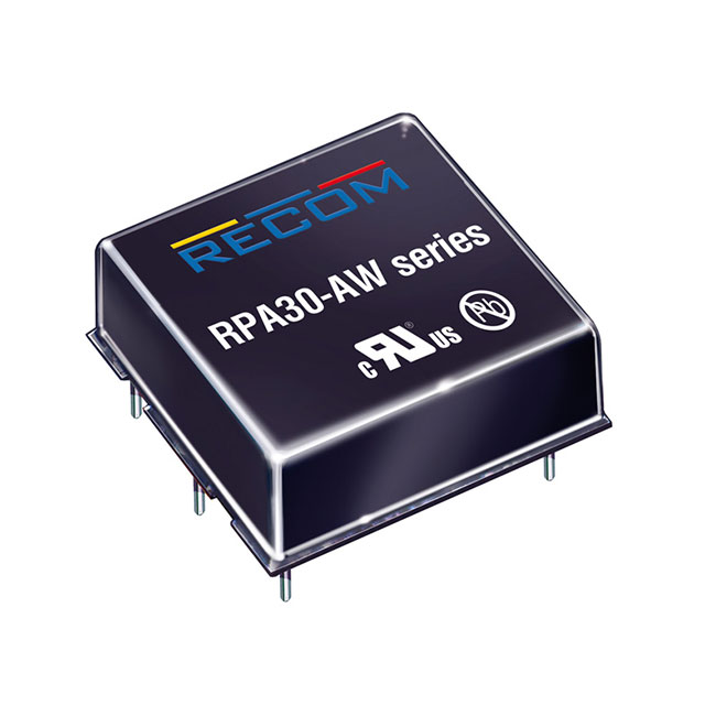 RECOM POWER DC-DC模块 RPA30-2415DAW/P