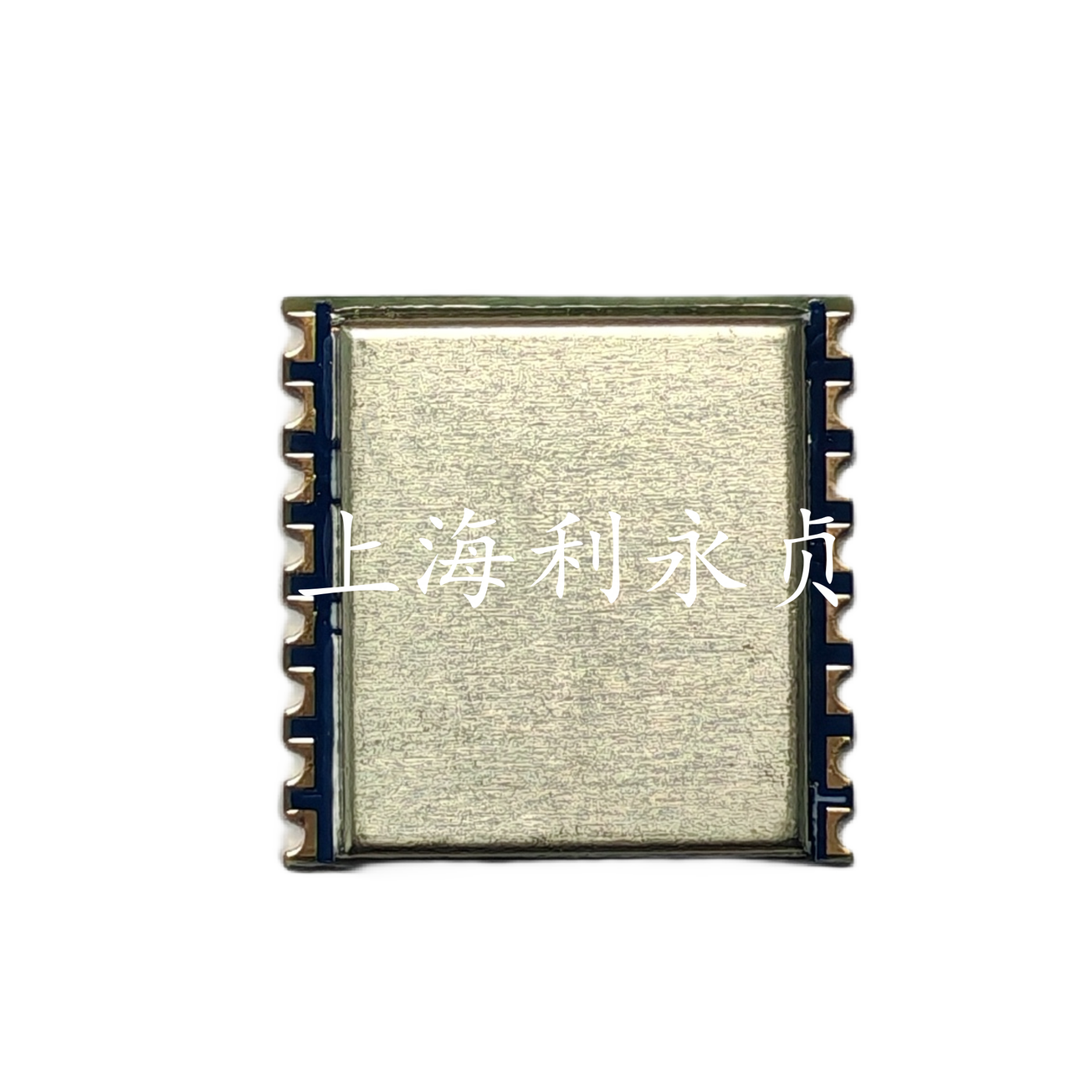LEEYZ/上海利永贞 LORA模块 LCR1-1278H
