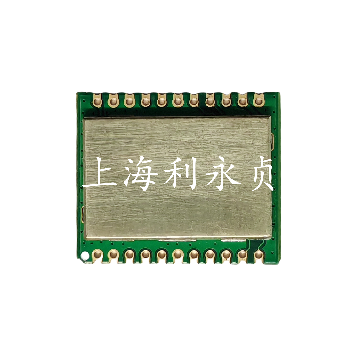 LEEYZ/上海利永贞 LORA模块 LCM1-6505D