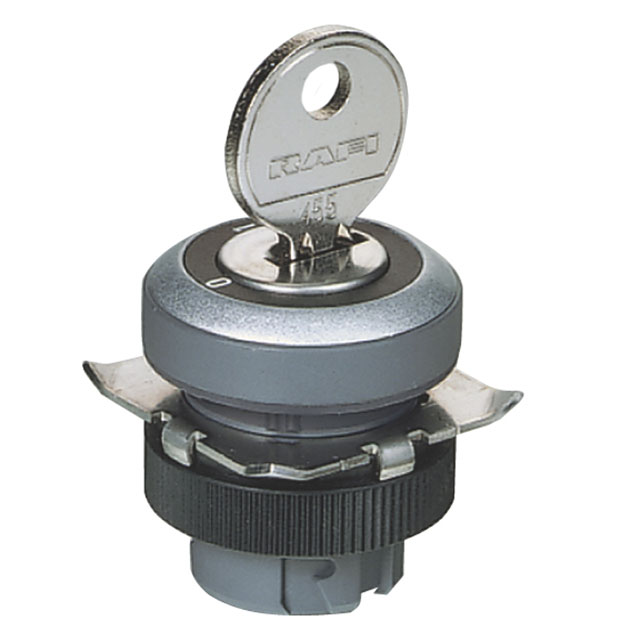 RAFI LED显示器件 1.30.245.202/0000