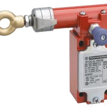 TELEMECANIQUE SENSORS 其他开关 XY2CJL19H29