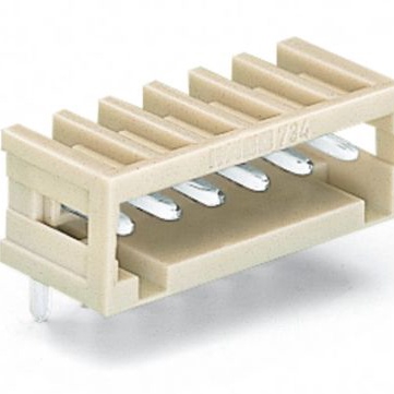 WAGO 接线座- 接头/插头和插口 734-176