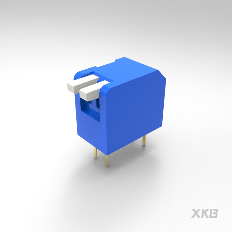 DPL-02BLP-DIP 开关-云汉芯城ICKey.cn